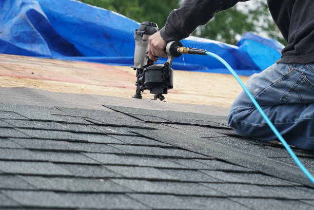 Best Roof Gutter Cleaning  in Santa Clara, UT